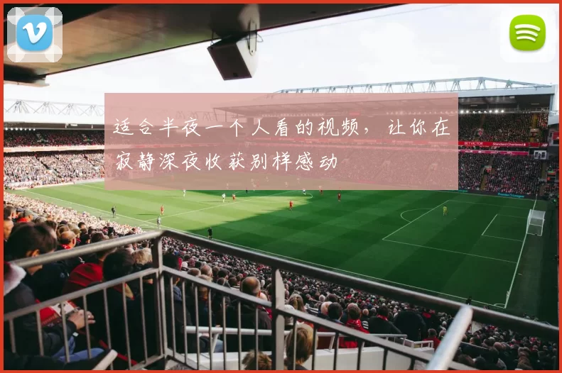 适合半夜一个人看的视频,让你在寂静深夜收获别样感动