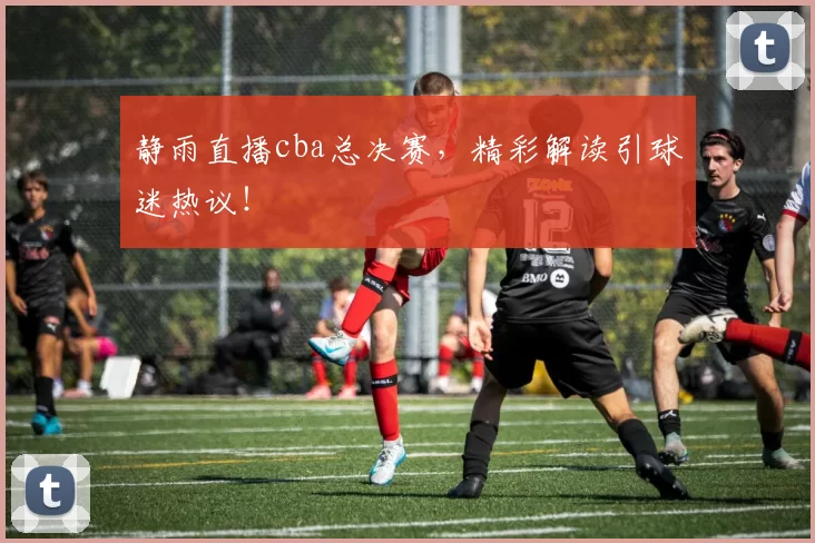 静雨直播cba总决赛,精彩解读引球迷热议!