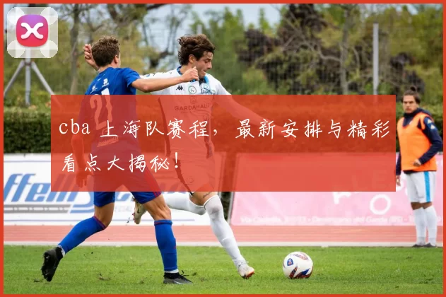 cba 上海队赛程，最新安排与精彩看点大揭秘！