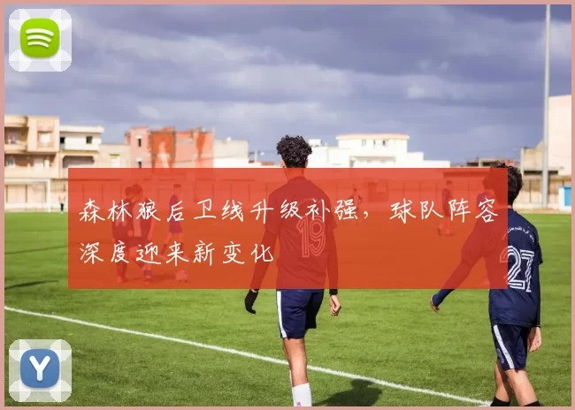 森林狼后卫线升级补强,球队阵容深度迎来新变化