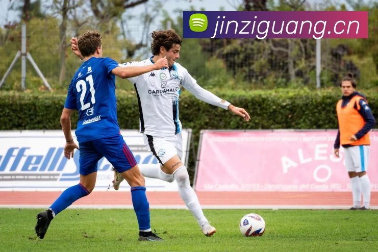 开云「中国」Kaiyun·官方网站 - 国内一流技术服务商发展历程